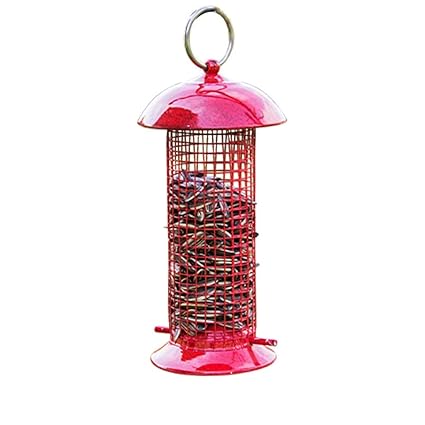 Qaryyq Outdoor Bird Feeder Round Leakproof Large Capacity With Lid