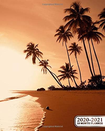 2020-2021 18 Month Planner: Nifty Tropical Sunset Organizer with Weekly & Monthly Views - Trendy Exotic Beach Calendar & Schedule Agenda with To Do's, Inspirational Quotes, Vision Boards & More