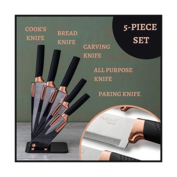 Kitchen Knife Block Set Copper 5 Piece Set with Knives Clear Acrylic Block Stainless Steel Blades - by Nuovva
