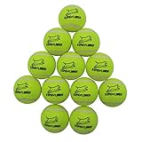 Tennis Balls for Dogs, EXPAWLORER, Premium Squeaky Toy for Pet Training 12-pack