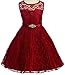 Little Girls Pleated Lace Illusion Top Sunburst Special Flowers Girls Dresses