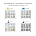 CottonColors Window Privacy Film 11