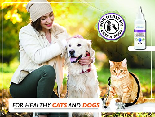 Arava - Tear Stain Remover - Eye Stain Cleaner for Dogs & Cats - Natural Ingredients & 26 Dead Sea Minerals - Safe & Effective for Pets - Double Action Removes Tear & Saliva Stains & Prevents New Ones