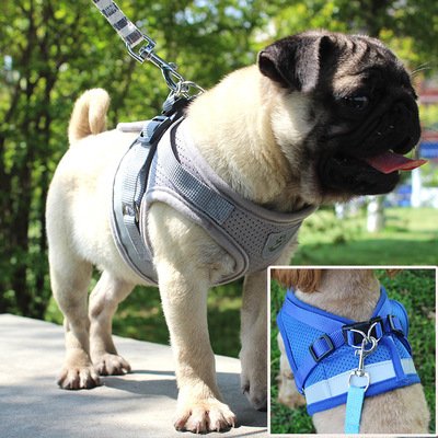 Soft Dog Cat Harness with Leash Adjustable Halter Harness No-pull Breathable Mesh Safety Outdoor Reflective Walking Leash Set (GREY, XL)