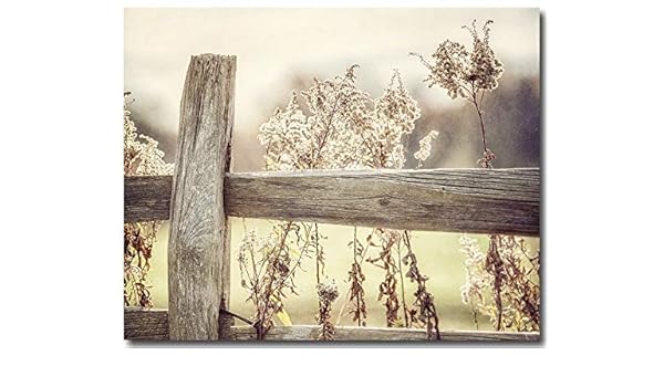 Amazon Com Rustic Country Farmhouse Decor Not Framed Golden