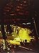 Phish: Alpine Valley 2010