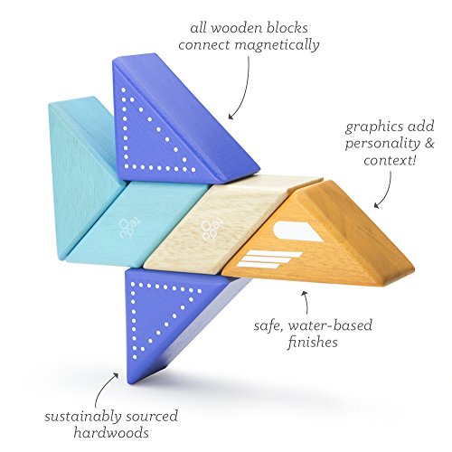 Tegu Travel Pal Jet Plane (6 Piece)