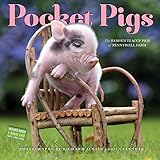 Pocket Pigs Wall Calendar 2017: The Famous Teacup Pigs of Pennywell Farm by
