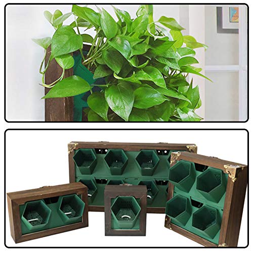 LQKYWNA Vertikale Wand Garten Pflanzer, Blumenhalter Vertikale Wand Garten Kunststoff Pflanzer, Wandbehang Pflanzkästen… – Bild 8