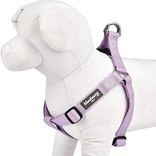 Blueberry Pet Essentials 21 Colors Stepin Classic Dog Harness, Chest