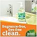 Seventh Generation Hand Wash, Free and Clean, 12 Ounce (Pack of 6)