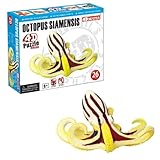 Build your own 3 inch Octopus Siamensis Model - 26 piece 3D Puzzle (Age 6+)