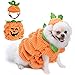 Legendog Dog Halloween Shirt, Pet Clothes, Cute Cat Dog Halloween Pumpkin Costumes, Dog Apparel, Halloween Costumes for Dogs, Creative Halloween Pumpkin Shirts for Dogs