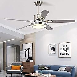 Outdoor Ceiling Fan Light,Remote Control Patio