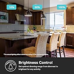 Kasa Matter Smart Dimmer Switch: Voice Control
