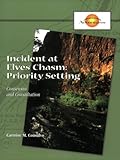 Incident at Elves Chasm : Priority Setting, Consalvo, Carmine M., 0874256070