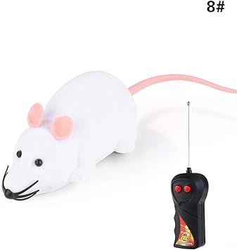 remote controlled mouse