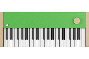 Loog Digital Piano - Portable Keyboard for Beginners with Musician Grade Sound, MIDI Over USB-C Rechargeable Musical Educational Instrument (Loog x Duolingo piano)