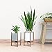 Glosom Indoor Plant Stand Width 11