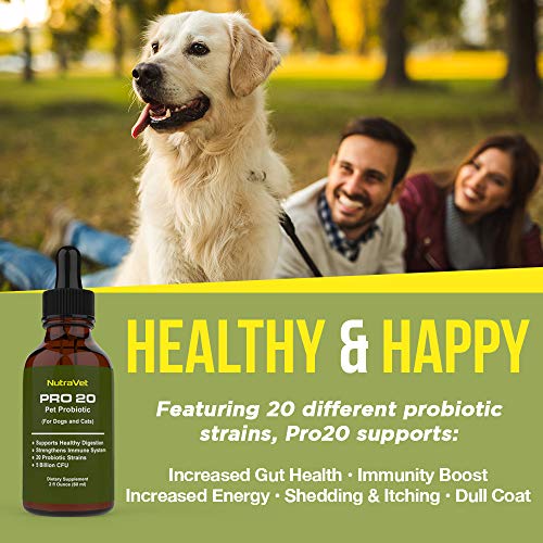 Probiotics for Dogs and Cat Probiotics 120 servings (1/2ml). 100