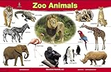 Zoo Animals Placemat