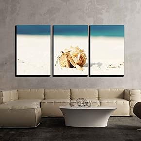 Hermit Crab on Beach at Maldives x3 Panels