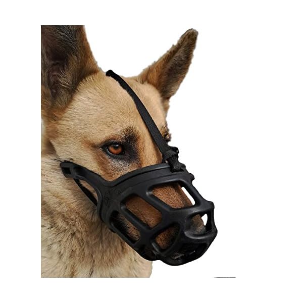 best basket muzzle