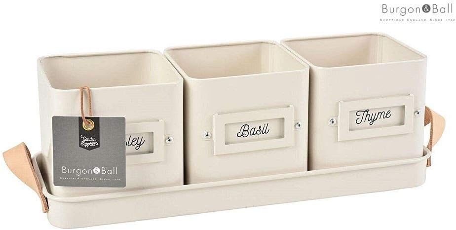 Burgon & Ball 3 Herb Pots in Leather Handled Tray, Stone, Gray, Medium - Image 3