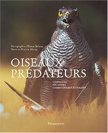 Oiseaux prédateurs