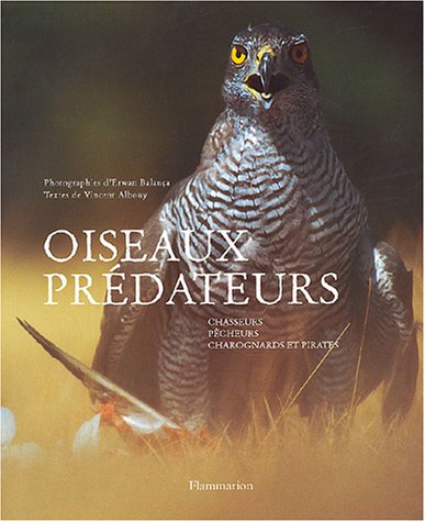 Oiseaux prédateurs