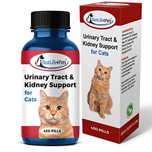 BestLife4Pets Cat UTI Urinary Tract Infection Treatment – All Natural ...