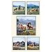 Wildflower Trails Horses Panel #2 24