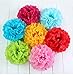 LINGSFIRE 10 Pack 10 Inch Tissue Paper Flower Ball Pom-poms for Party/Wedding/Home/Outdoor Decoration (Red)