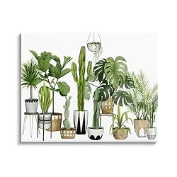 Stupell Industries Boho Plant Scene with Cacti and