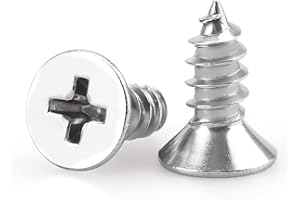 EASTLO #6 x 3/8" (100 pcs) Flat Head Sheet Metal Screws, 304 Stainless Steel (18-8), Phillips Drive, Self Tapping, Corrosion Resistant Screws for Wood, Sheet Metal and More