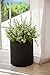 Keter Resin Wicker Cylinder Flower Pot Set of 3 Small, Medium, and Large Planters with Drainage Plugs for Outdoor or Indoor Plants