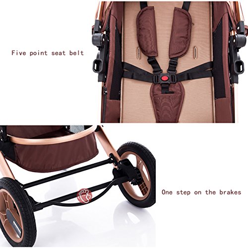 6 YBL+landscape+stroller+available+Suitable