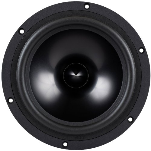 ★日本の職人技★Dayton Audio RS225-8 22.5cm ウーファー 8Ω DASPWF-101