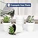 vensovo 24pcs White Terra Cotta Pot - 2.5 Inch Tiny Mini Clay Pots with Drainage Holes Flower Nursery Terra Cotta Pots for Indoor/Outdoor Succulent Plants, Crafts, Wedding Favor