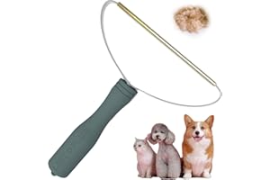 LINTPLUS (Sea-Green) Lint Plus Cleaner Pro Pet Hair Remover,Special Dog Hair Remover Multi Fabric Edge and Carpet Scraper Easy Remover for Couch,Pet Towers & Rugs-Gets Every Hair!