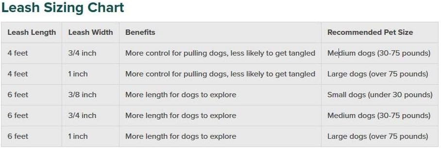 PetSafe Nylon Leash, 3/8" x 6', Black - LSH-3/8-X-6-BLK : Pet Leashes : Pet Supplies