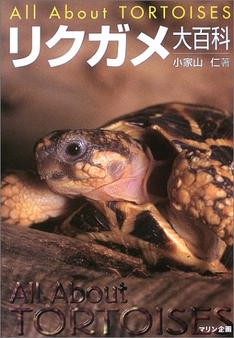 リクガメ大百科 小家山 仁 本 通販 Amazon