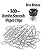 Klingy Smooth Paper Clips 300 Pcs, JUMBO, With FREE BONUS Magnetic Clip Holder, Two Compartments