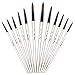 YOUSHARES 12 Pcs Art Paint Brush Set for Watercolor, Oil, Acrylic Paint/Craft, Nail, Face Painting