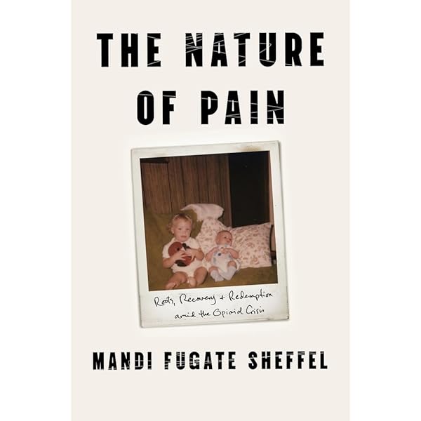 洋書 CONSCIOUSNESS BIOENERGY AND HEALING Consciousness and Healing: Integral Approaches to Mind-Body