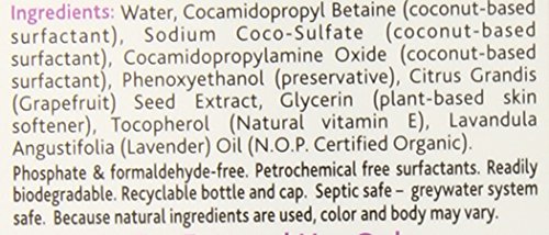 Earth Friendly Products Hand Soap, Lavender, 17-Ounce Bottle (Pack of 6)