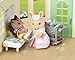 Calico Critters Country Nurse Set Playset