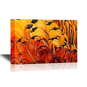Canvas Wall Art - Orange Feather - Gallery Wrap Modern Home Art | Ready to Hang - 12x18 inches