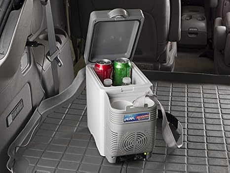 portable cooler warmer 12v