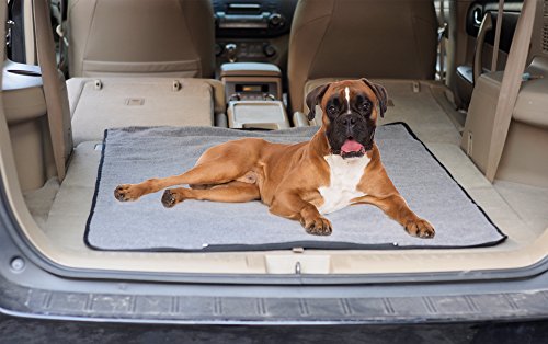 WATERPROOF Dog Blanket for Small Dog Puppy Cat Throw ...